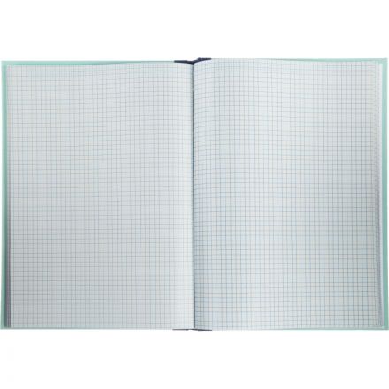 Книга учета амбарная газетная бумага А4 96 листов в клетку на сшивке (обложка - плотный картон) Книга учета амбарная газетная бумага А4 96 листов в клетку на сшивке (обложка - плотный картон)
