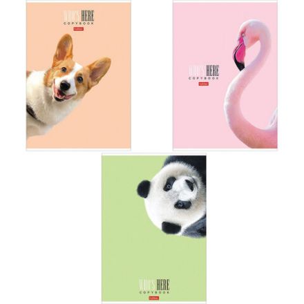 Тетрадь А4 96 л. HATBER скоба, клетка, матовая ламинация, "Кто здесь?" (микс), 066192, 96Т4лВ1 Тетрадь А4 96 л. HATBER скоба, клетка, матовая ламинация, "Кто здесь?" (микс), 066192, 96Т4лВ1