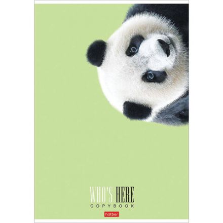 Тетрадь А4 96 л. HATBER скоба, клетка, матовая ламинация, "Кто здесь?" (микс), 066192, 96Т4лВ1 Тетрадь А4 96 л. HATBER скоба, клетка, матовая ламинация, "Кто здесь?" (микс), 066192, 96Т4лВ1