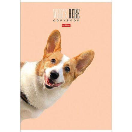 Тетрадь А4 96 л. HATBER скоба, клетка, матовая ламинация, "Кто здесь?" (микс), 066192, 96Т4лВ1 Тетрадь А4 96 л. HATBER скоба, клетка, матовая ламинация, "Кто здесь?" (микс), 066192, 96Т4лВ1