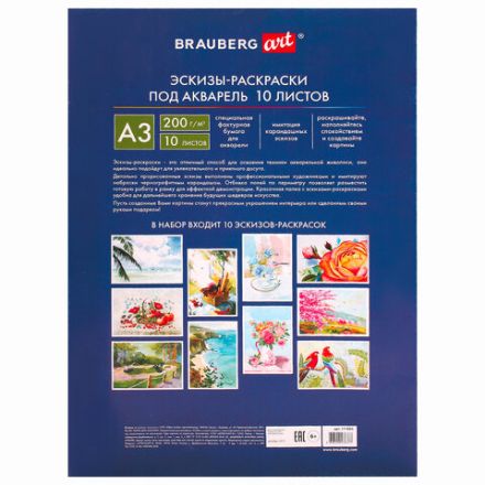 Папка для акварели С ЭСКИЗОМ, БОЛЬШАЯ А3, 10 л., 200 г/м2, 297х420 мм, BRAUBERG, 110065, 111065