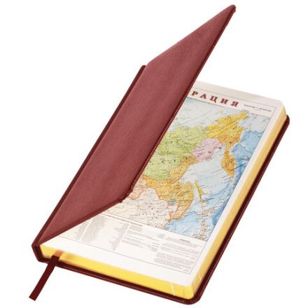 Ежедневник недатированный А5 138х213 мм BRAUBERG "Iguana" под кожу, 160 л., темно-коричневый, 125090 Ежедневник недатированный А5 138х213 мм BRAUBERG "Iguana" под кожу, 160 л., темно-коричневый, 125090