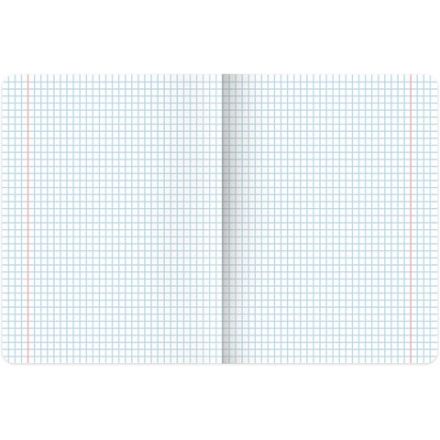 Тетрадь предметная "PASTEL" 48 л., SoftTouch, фольга, ХИМИЯ, клетка, BRAUBERG, 404320