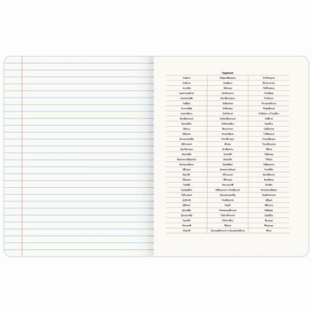 Тетрадь предметная МЕМЫ 48 л., TWIN-лак, РУССКИЙ ЯЗЫК, линия, подсказ, BRAUBERG, 405105