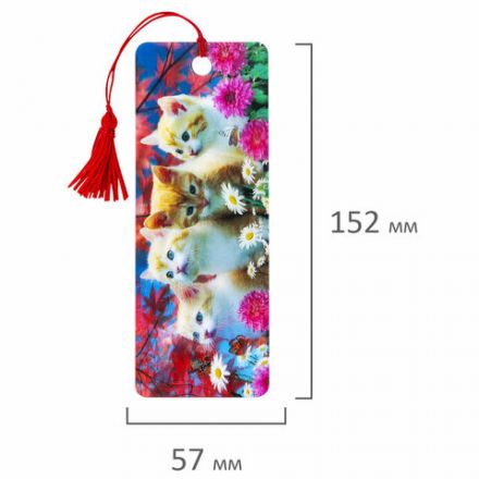 Закладка для книг с линейкой 3D ОБЪЕМНАЯ BRAUBERG, "Котята", с декоративным шнурком-завязкой, 125762 Закладка для книг с линейкой 3D ОБЪЕМНАЯ BRAUBERG, "Котята", с декоративным шнурком-завязкой, 125762