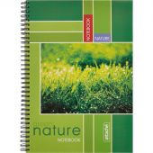 Тетрадь общая Attache А4 120 листов в клетку на спирали Тетрадь общая Attache А4 120 листов в клетку на спирали