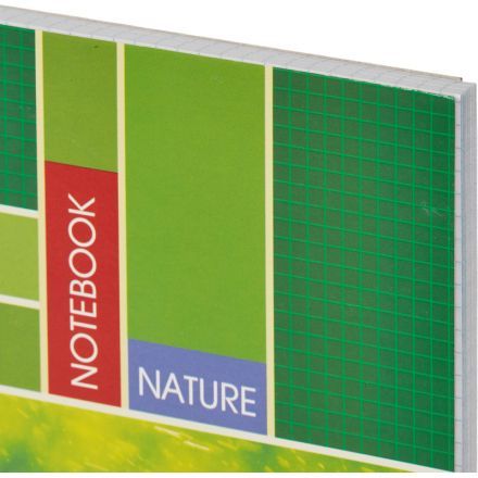 Тетрадь общая Attache А4 120 листов в клетку на спирали