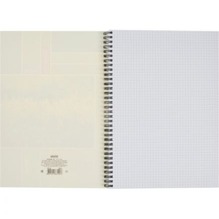 Тетрадь общая Attache А4 120 листов в клетку на спирали