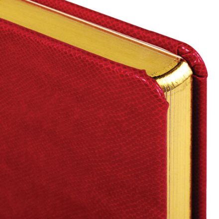 Ежедневник недатированный А5 138х213 мм BRAUBERG "Iguana" под кожу, 160 л., красный, 125092 Ежедневник недатированный А5 138х213 мм BRAUBERG "Iguana" под кожу, 160 л., красный, 125092