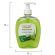 Мыло жидкое 500 г ЗОЛОТОЙ ИДЕАЛ "Алоэ-вера", дозатор, 606785 Мыло жидкое 500 г ЗОЛОТОЙ ИДЕАЛ "Алоэ-вера", дозатор, 606785
