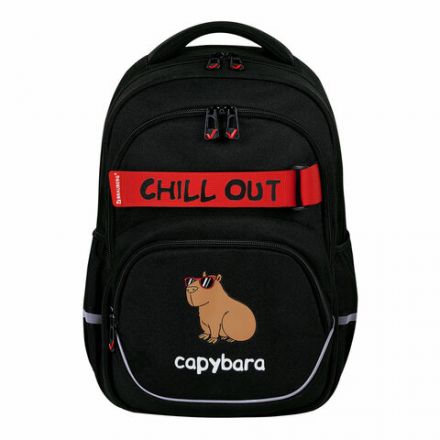 Рюкзак BRAUBERG MOTION, 2 отделения, 3 кармана, "Calm capy", СВЕТЯЩИЙСЯ, 41х28х17 см, 272032