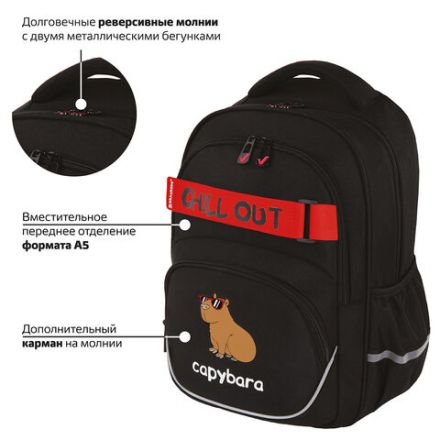 Рюкзак BRAUBERG MOTION, 2 отделения, 3 кармана, "Calm capy", СВЕТЯЩИЙСЯ, 41х28х17 см, 272032