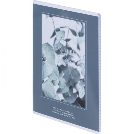 Тетрадь общая, BS, А5, 48л., клетка, скрепка. Botanica, эвк. популус N4166