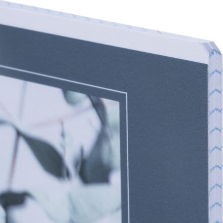 Тетрадь общая, BS, А5, 48л., клетка, скрепка. Botanica, эвк. популус N4166