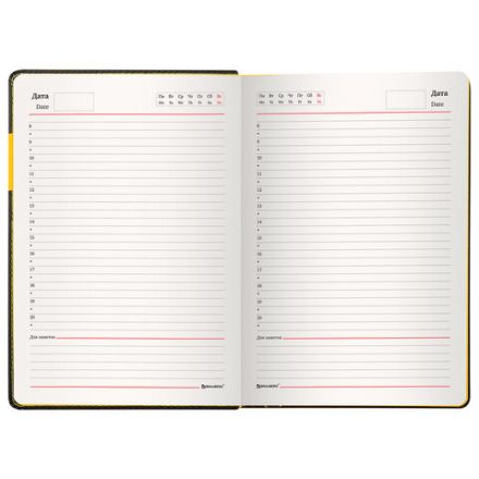 Ежедневник недатированный А5 (138х213 мм), BRAUBERG "AIM", под кожу, 136 л., черный, 113421