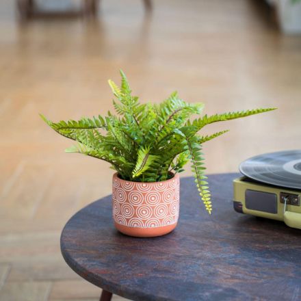 Цветок искусственный Папоротник в керам горшке, Д120 Ш120 В420,Mia12
