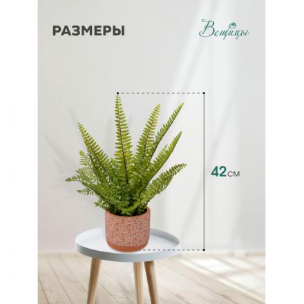 Цветок искусственный Папоротник в керам горшке, Д120 Ш120 В420,Mia12