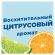 Освежитель/очиститель для унитаза/писсуара 6 шт. ТУАЛЕТНЫЙ УТЕНОК "Цитрус", стикер чистоты, 865029