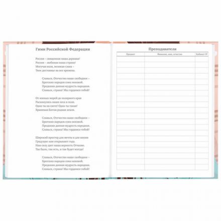 Дневник 5-11 класс 48 л., твердый, BRAUBERG, глянцевая ламинация, с подсказом, "Summer girl", 106882