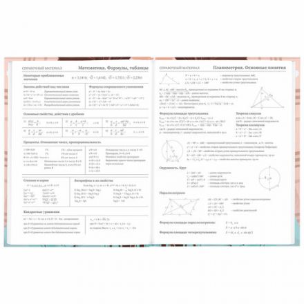 Дневник 5-11 класс 48 л., твердый, BRAUBERG, глянцевая ламинация, с подсказом, "Summer girl", 106882