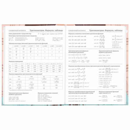 Дневник 5-11 класс 48 л., твердый, BRAUBERG, глянцевая ламинация, с подсказом, "Summer girl", 106882