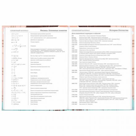 Дневник 5-11 класс 48 л., твердый, BRAUBERG, глянцевая ламинация, с подсказом, "Summer girl", 106882