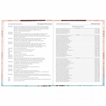 Дневник 5-11 класс 48 л., твердый, BRAUBERG, глянцевая ламинация, с подсказом, "Summer girl", 106882