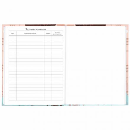 Дневник 5-11 класс 48 л., твердый, BRAUBERG, глянцевая ламинация, с подсказом, "Summer girl", 106882