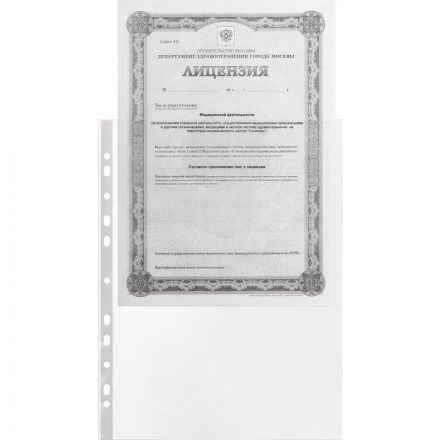 Файл-вкладыш А4 60мкм. S Элементари с перфорац,100 шт.уп