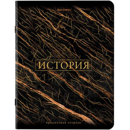 Тетради предметные, КОМПЛЕКТ 12 ПРЕДМЕТОВ, 48 л., SoftTouch, фольга, BRAUBERG, "MARBLE", 404326