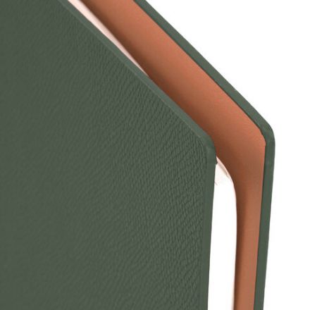 Ежедневник на кольцах в наборе с ручкой А5, 165x229 мм, BRAUBERG "Lux", под кожу, 100 листов, зеленый, 116858