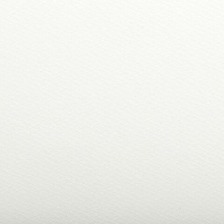 Папка для акварели БОЛЬШАЯ А3, 20 л., 200 г/м2, бумага ГОЗНАК, среднее зерно, "Рыбачка", ПА3/20