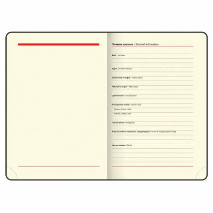 Ежедневник недатированный А5 (138х213 мм), BRAUBERG VISTA, под кожу, твердый, 136 л., "Avocado", 112026