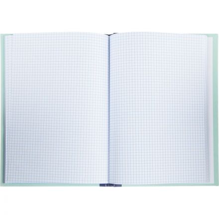 Книга учета бухгалтерская Attache офсет А4 96 листов в клетку на сшивке (обложка - плотный картон) Книга учета бухгалтерская Attache офсет А4 96 листов в клетку на сшивке (обложка - плотный картон)