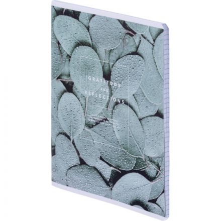 Тетрадь общая, BS, А5, 48л., клетка, скрепка. Botanica, эвк.т рамка N4169