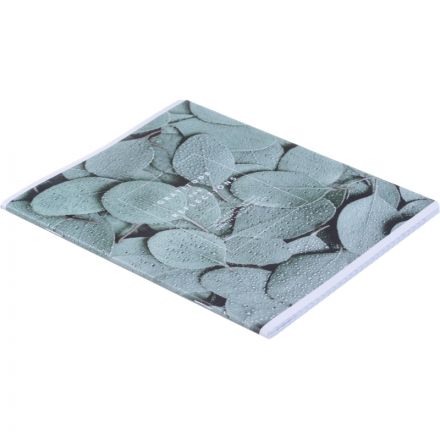 Тетрадь общая, BS, А5, 48л., клетка, скрепка. Botanica, эвк.т рамка N4169