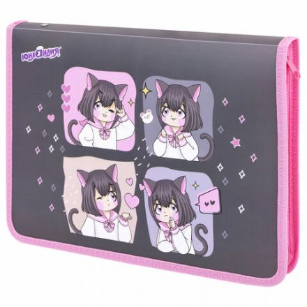 Папка для труда на молнии ЮНЛАНДИЯ А4, 1 отделение, откидная планка, органайзер, "Anime dreamer", 273393