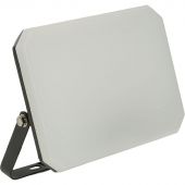 Прожектор светодиодный Feron LL-942 IP65 50W 6400K (51045)