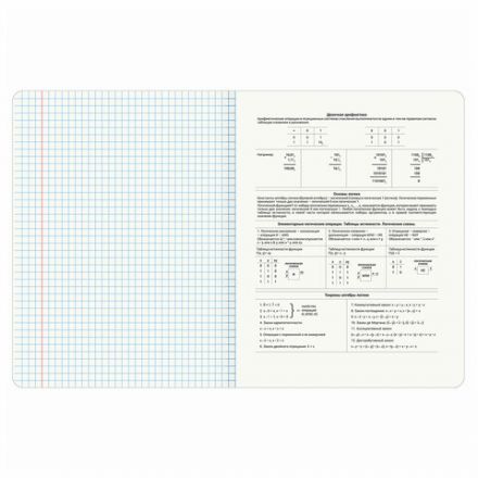 Тетрадь предметная ANIME 48 л., глянцевый УФ-лак, ИНФОРМАТИКА, клетка, BRAUBERG, 404538