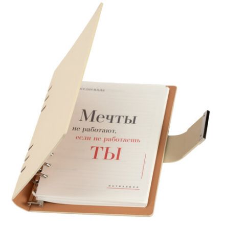 Ежедневник на кольцах в наборе с ручкой А5, 165x229 мм, BRAUBERG "Lux", под кожу, 100 листов, бежевый, 116859