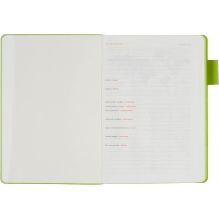 Ежедневник недатированный А5 BOSTON (ЧЕРНЫЙ) 3-228/04 Ежедневник недатированный А5 BOSTON (ЧЕРНЫЙ) 3-228/04