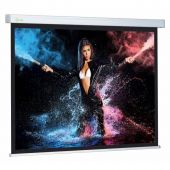 Экран настенный Cactus Wallscreen CS-PSW-180x180, 180x180см, 1:1, белый