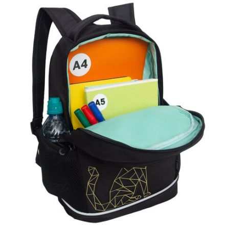 Рюкзак GRIZZLY школьный, анатомическая спинка, 2 отделения, для девочек, "GOLD CAT", 38х28х18 см, RG-563-2/1