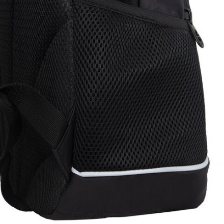 Рюкзак GRIZZLY школьный, анатомическая спинка, 2 отделения, для девочек, "GOLD CAT", 38х28х18 см, RG-563-2/1