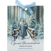 Аромасаше СВ Искристая Груша АР 100-796