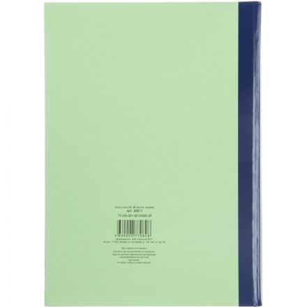Книга учета бухгалтерская Attache офсет А4 96 листов в линейку на сшивке (обложка - плотный картон)