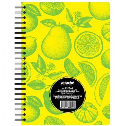 Бизнес-тетрадь Attache Selection Клементин A5 100 листов в клетку на спирали ароматизированная (155x205 мм)
