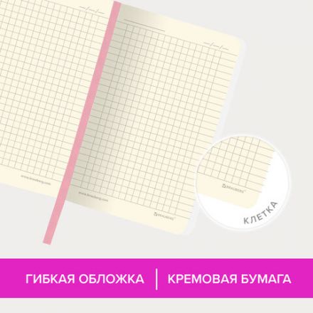 Блокнот МАЛЫЙ ФОРМАТ (100x150 мм) А6, BRAUBERG "Metropolis Ultra", под кожу, 80 л., клетка, розовый, 113322