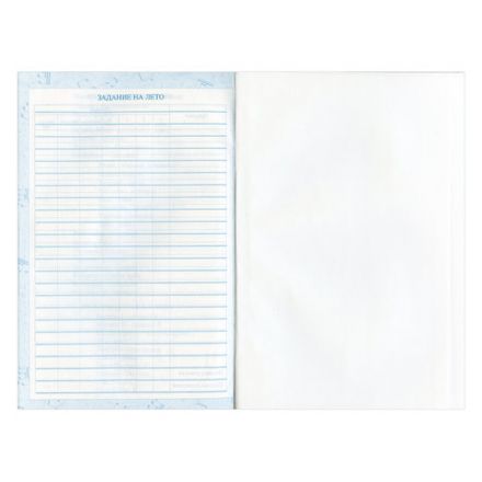 Дневник для музыкальной школы 140х210 мм, 48 л., твердый, BRAUBERG, справочный материал, "Музыка", 104975