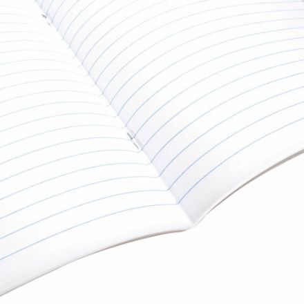 Тетрадь предметная ANIME 48 л., глянцевый УФ-лак, ЛИТЕРАТУРА, линия, BRAUBERG, 404540